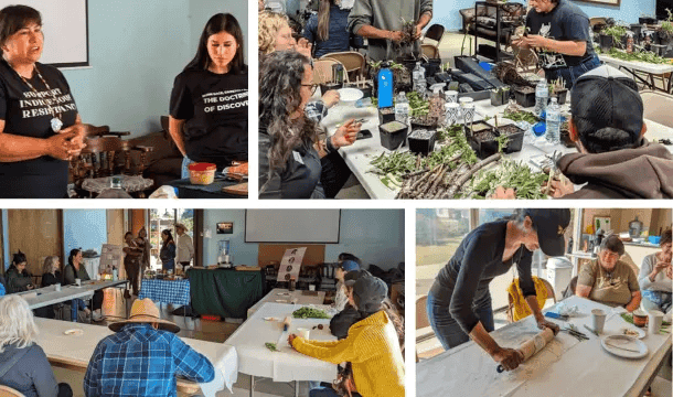Collage of workshop scenes with presenters and participants preparing native plants and learning together indoors.