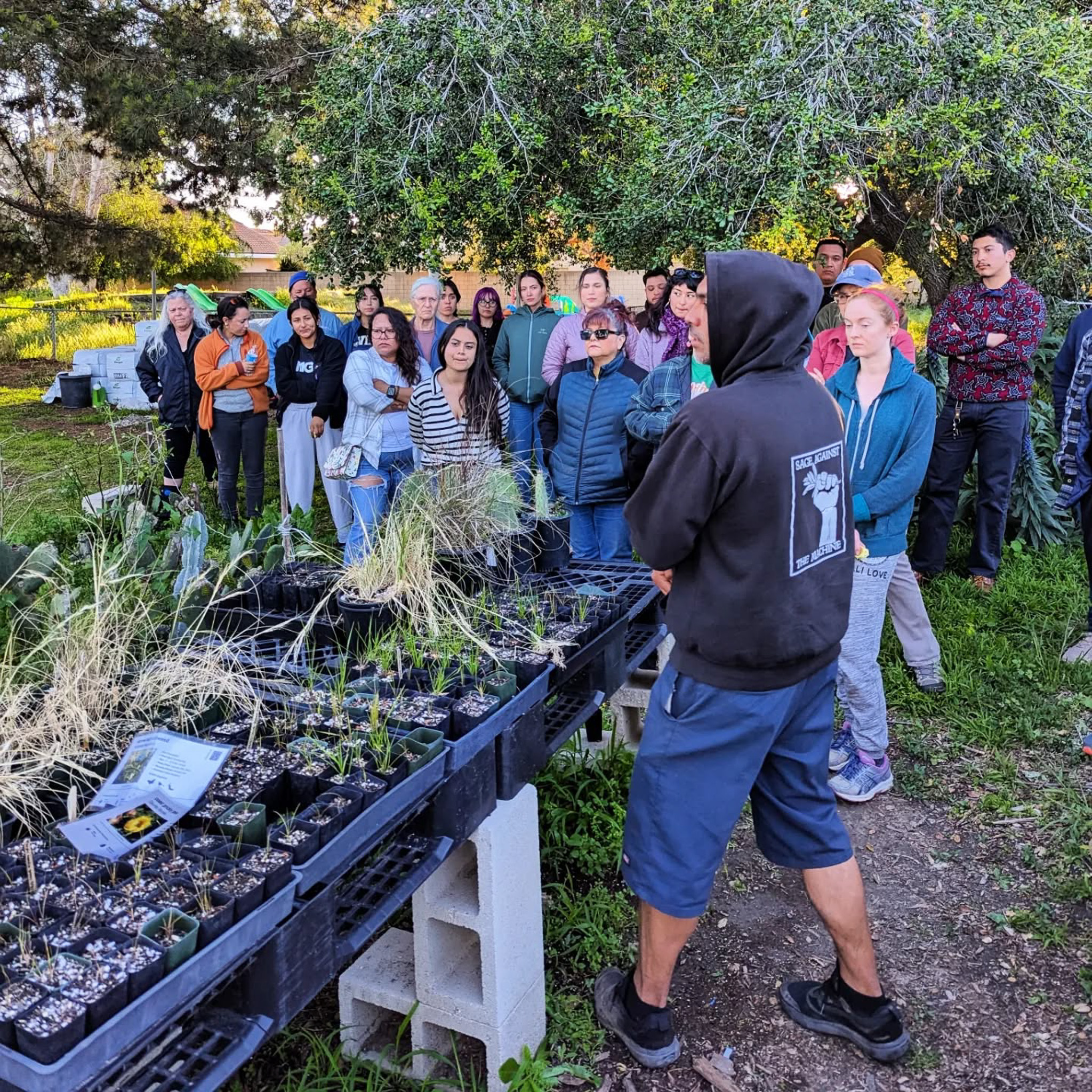 Picture wall right top