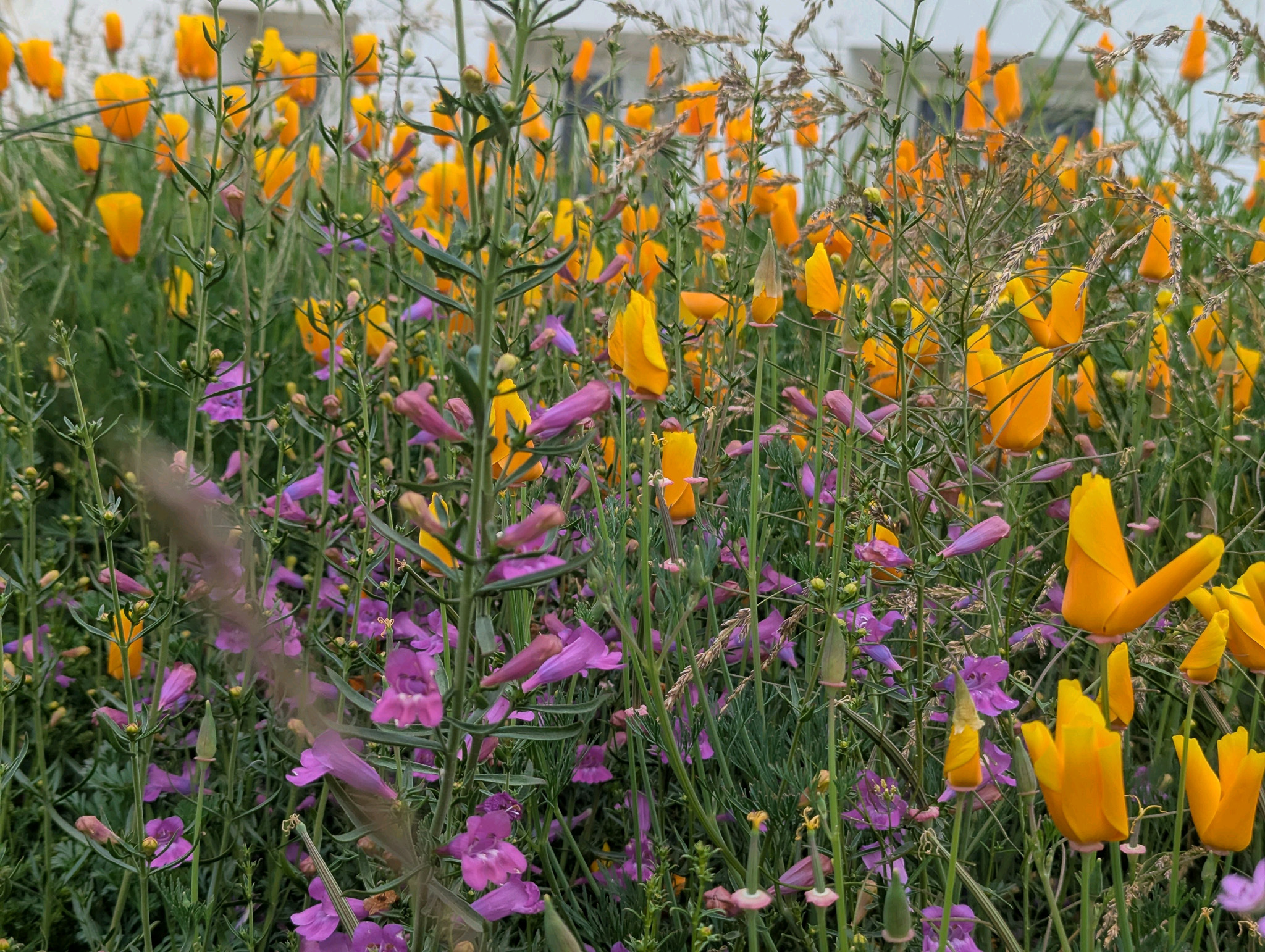 Picture wall right bottom