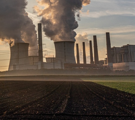 Industrial factory stacks emit thick smoke into the air, contrasting the role of native vegetation in absorbing carbon and reducing greenhouse gases.