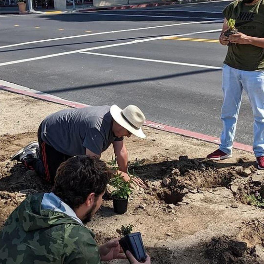 Community Spotlight: Mini Nature Reserve planting photography